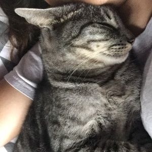 Meet your Posher, Izabella